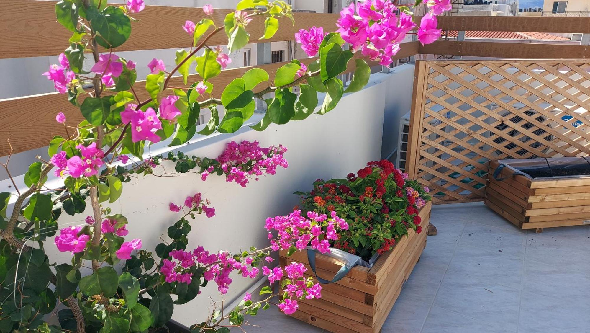 The Blue Apartment In The Heart Of Heraklion Екстер'єр фото
