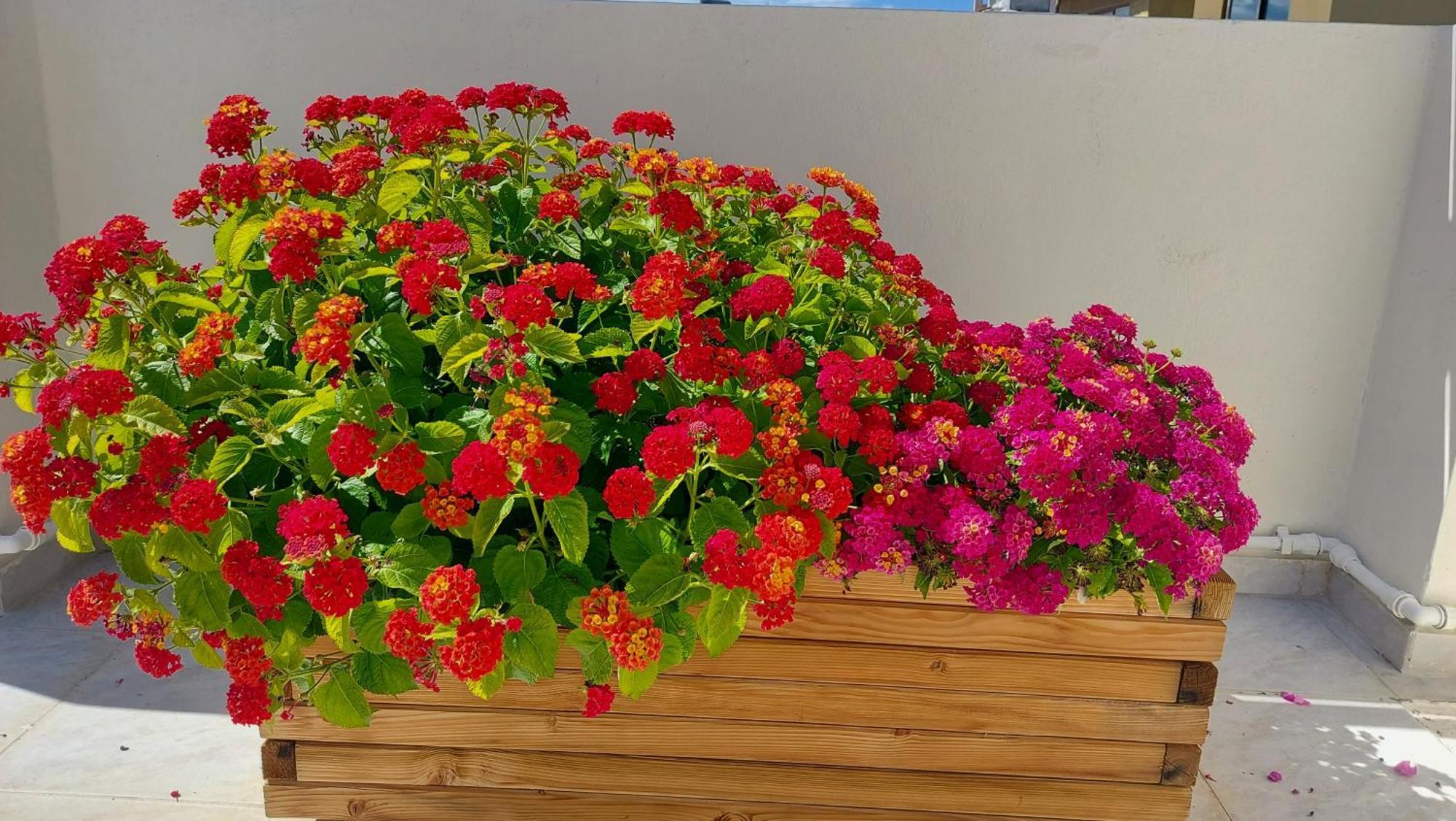 The Blue Apartment In The Heart Of Heraklion Екстер'єр фото